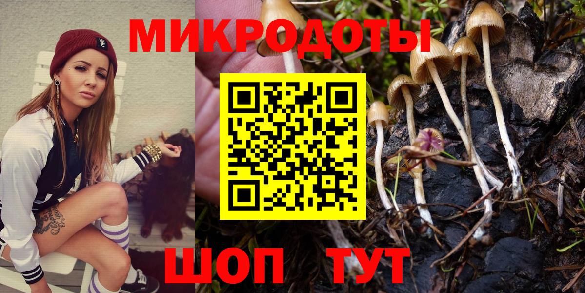 Кулебаки  Галлюциногенные грибы Cubensis  Вход с VPN 