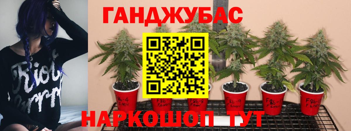 Бошки Шишки сатива  Марихуана тримм  Вход с VPN  Кулебаки  Конопля семена 